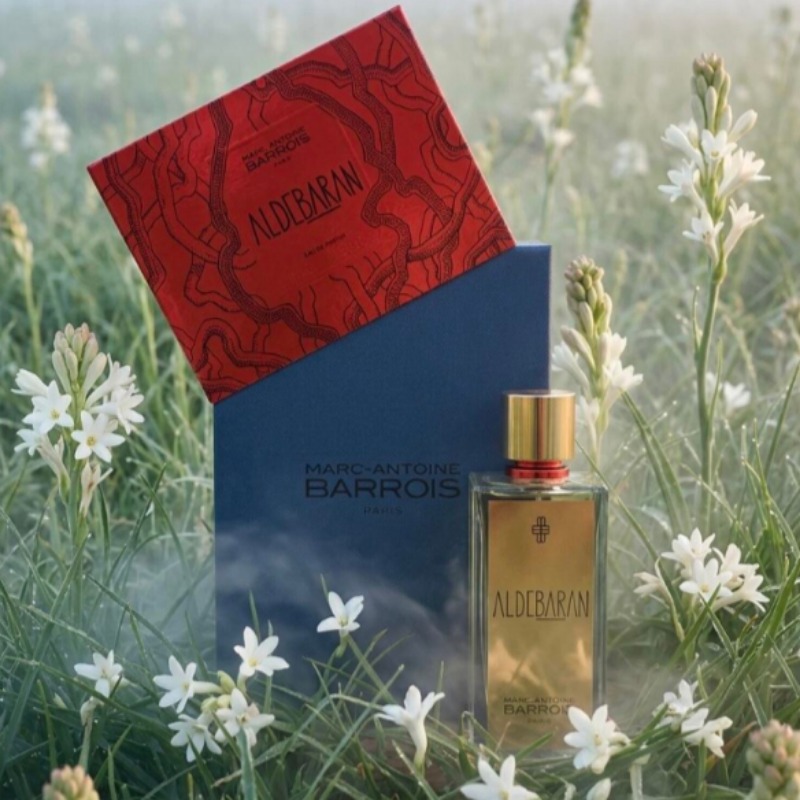Perfume Unissex Amadeirado Pic - Perfume Fragrance Intense avaliação e preço