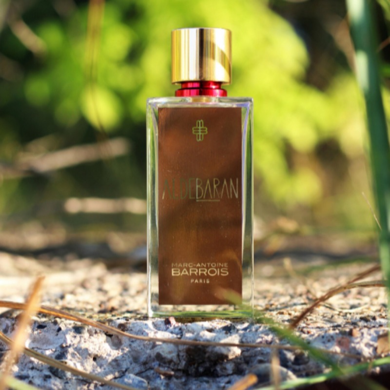 Perfume Unissex Amadeirado Pic - Perfume Fragrance Intense avaliação e preço