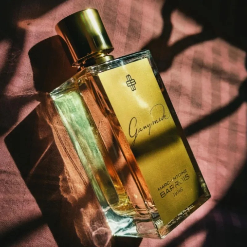 100ml unissex picante amadeira - Perfume Fragrance Intense avaliação e preço
